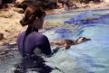 【すみだ水族館】この春生まれたペンギンの赤ちutf-8