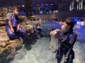 【すみだ水族館】この春生まれたペンギンの赤ちutf-8