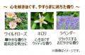 3種の天然アロマ※1がやさしく香り、ふっくらハリutf-8