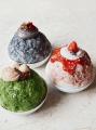 【Cafe Kitsune】 期間限定かき氷が今年も登場