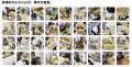 犬用サプリ「UNKO SUPPORT」、見本市初出展で会場持参