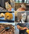 【長野県佐久市】動物との「癒し」と「出会い」を創出