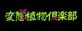 【開催間近】珍奇植物の偏愛番組『変態植物倶楽部』初