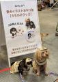 【イベントレポート】Barky Lifeが「ロンドンドッグフ