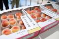 川西特産 早生桃の即売会を開催 / 兵庫県川西市