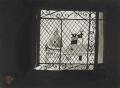 堂本印象美術館、開館60周年記念展Iを7月7日よりutf-8