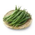 【京都高島屋S.C.［T8］】旬の京野菜を味わい尽くす8