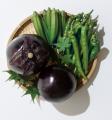 【京都高島屋S.C.［T8］】旬の京野菜を味わい尽くす8