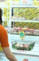 野菜は「買う」から「獲る」時代へ！札幌で青果クレー