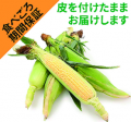 年に１度の特大ＳＡＬＥ「グリーンビーンズ 大感謝祭