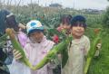 新緑の深谷市で焼きたて野菜に冷やしキュウリ　沃土会
