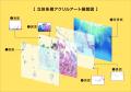 【数量限定】カントク直筆サイン入りアートグッズの発