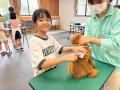 【夏休みの過ごし方】夏の子犬飼育日誌（全２日程）
