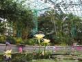 開園30周年！滋賀県・烏丸半島の植物園「草津市立水生