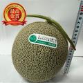 農産品のさらなる価値向上を目指す青果物の品評会「野