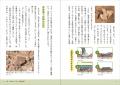 恐竜のすべては卵から始まった！「子ども科学電話相談