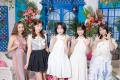 ABEMA『シャッフルアイランドSeason7』事前特別番組の