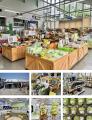 【山梨県韮崎市】夏の絶景と旬の恵みを巡る「明野ひま