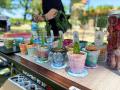 「GREEN MARKET FUKUOKA」初の福岡開催にPrecious Pla