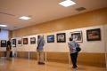 【埼玉県狭山市】公募展「第43回狭山市民展」を開催中