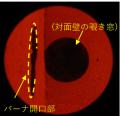火力発電所用ボイラ向けアンモニア専焼バーナの実用化