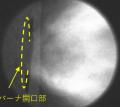 火力発電所用ボイラ向けアンモニア専焼バーナの実用化