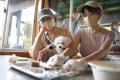 飼い主の94.5%が「愛犬と旅したい」時代へ。ココグル
