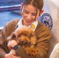 飼い主の94.5%が「愛犬と旅したい」時代へ。ココグル