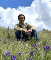 フジフイルム スクエア 企画写真展　ミツバチはこんな