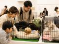 【横浜 ペットイベント】入場無料・屋内開催「第7回 