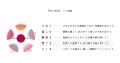 伝統工芸「加賀てまり」がモチーフ | 2026/27シーズン