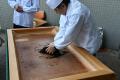 【埼玉県入間市】”狭山茶”新茶イベント振り返り特集 