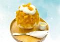 菜彩麻辣湯 ラゾーナ川崎プラザ』× かき氷専門店『 し