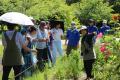 ペレニアルガーデンの夏の花壇【国営海の中道海浜公園