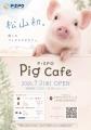 【愛媛・松山】松山初※のマイクロブタカフェ「P・SPO 