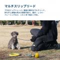 犬の散歩マナー向上と飼い主教育を支える、犬のしつけ
