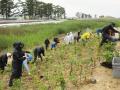 【SRSホールディングスイベントレポート】木を植える