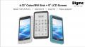 カラー電子ペーパー＋LCDの大型デュアルスクリーン5G