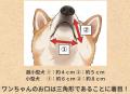 【新商品／犬用ガム／国産】『モチモチ食感』新しい発