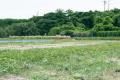 “先人から若手へ受け継がれるスイカづくり”　掛川市浜