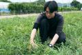 “先人から若手へ受け継がれるスイカづくり”　掛川市浜
