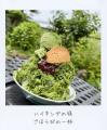 生駒山を、かき氷でいっぱいに「いこま氷フォトコン20