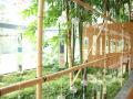 東銀座の夏を涼やかに彩る『東銀座 風鈴イベント2026