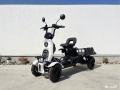 【岐阜県で初展示】免許不要の4輪電動車「ブレイズ イ