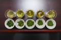 飲むウェルビーイング「Shizuoka Matcha Therapy」、I