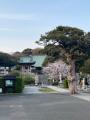 「盆竹灯籠まつり in 三浦半島 2026」 7月4日～8月30