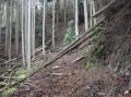 千葉県の森林保全活動の推進と脱炭素化に向けた連携協