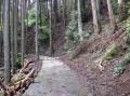 千葉県の森林保全活動の推進と脱炭素化に向けた連携協