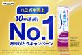 シュミテクト　日本におけるハミガキ売上No.1を10年連