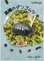 高槻市の自然博物館で身近な生き物「ダンゴムシ」が主